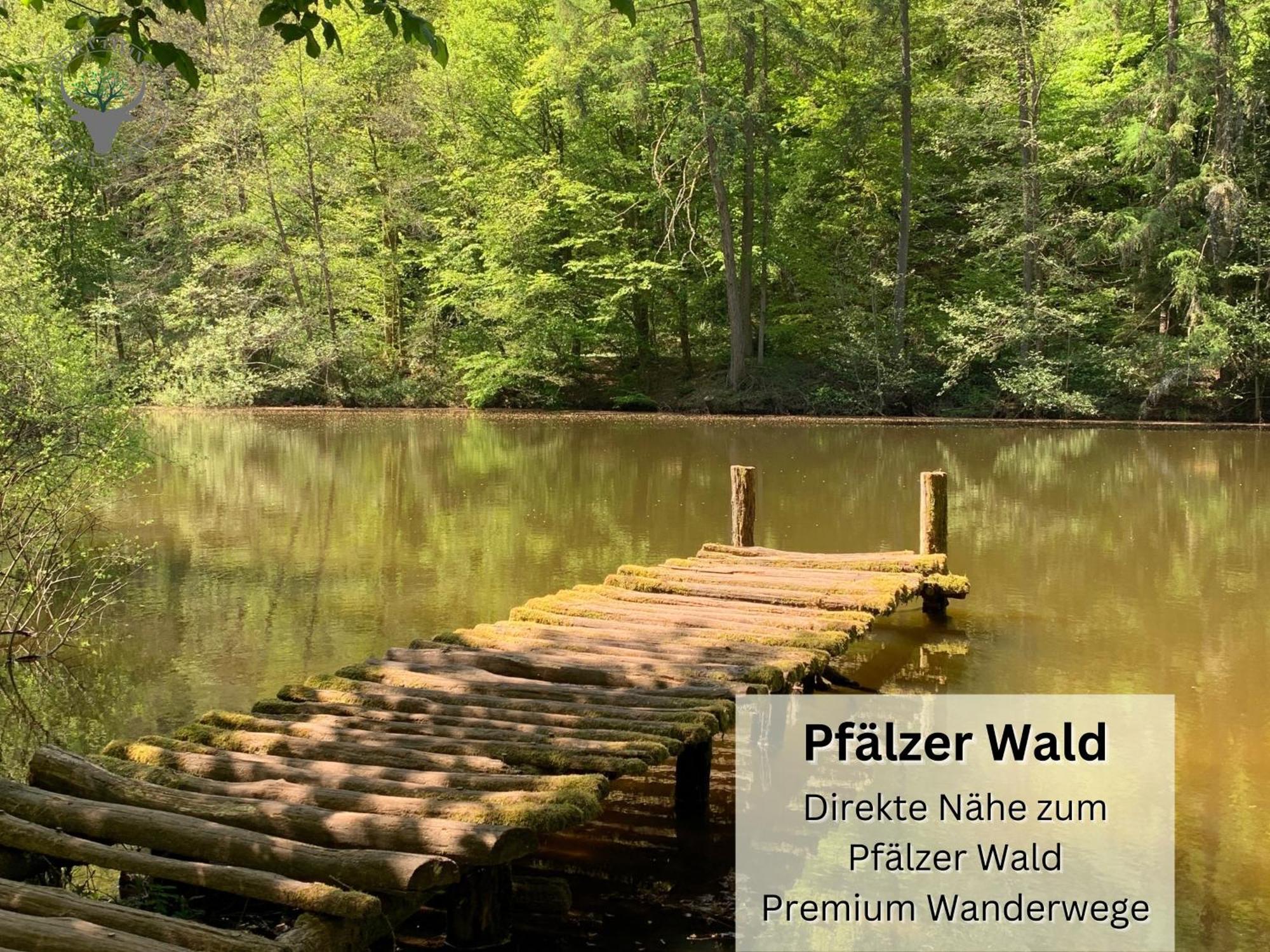 Apartment Stierpartment Am Pfaelzer Wald Naehe Outlet Center Zweibruecken Pirmasens